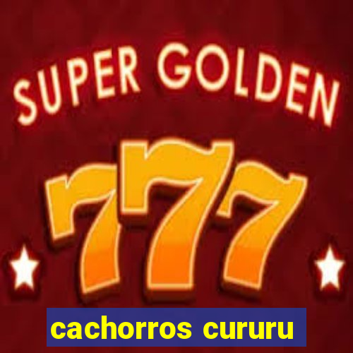 cachorros cururu